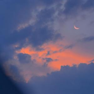 日本公妇乱伦xxxx
