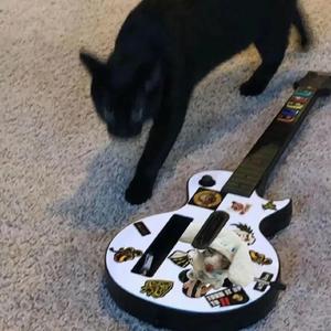 日本公妇乱伦xxxx
